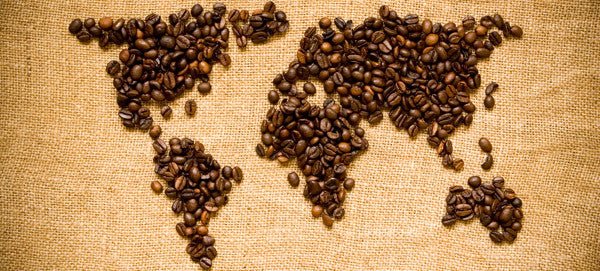 The coffee world in two words: Arabica & Robusta - Café Liégeois Canada Inc.